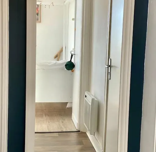 公寓 Lumineux Vue Et Avec Balcon